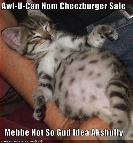 funny-pictures-kitten-ate-too-many-cheeseburgers